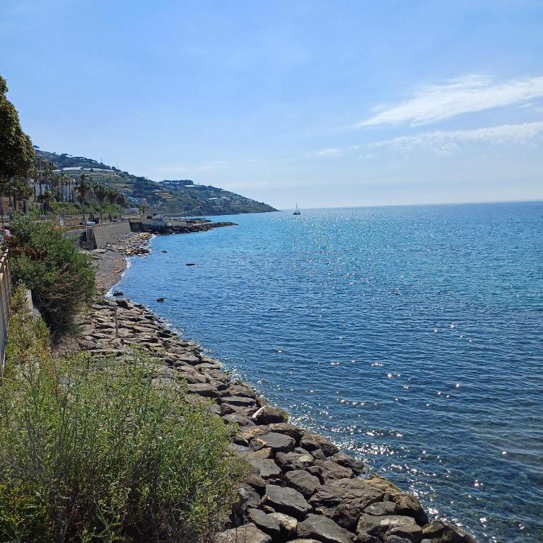Belvedere Apartment 200mt beach - 4