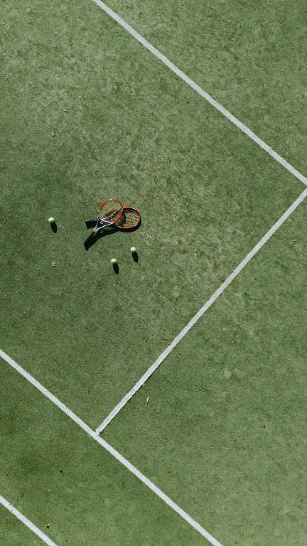 Tennis court