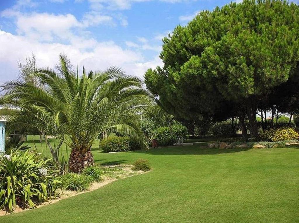 Sunny Apartment Al-Sakia, Quarteira, Vilamoura photo