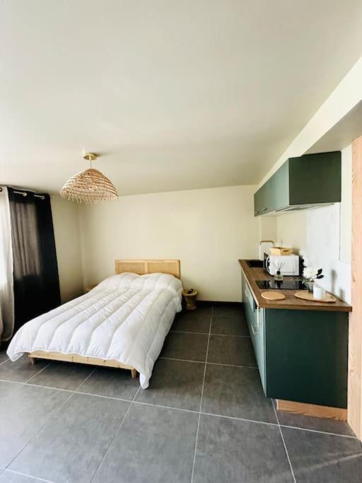 Studio Mimosa - 500m de la plage - 2