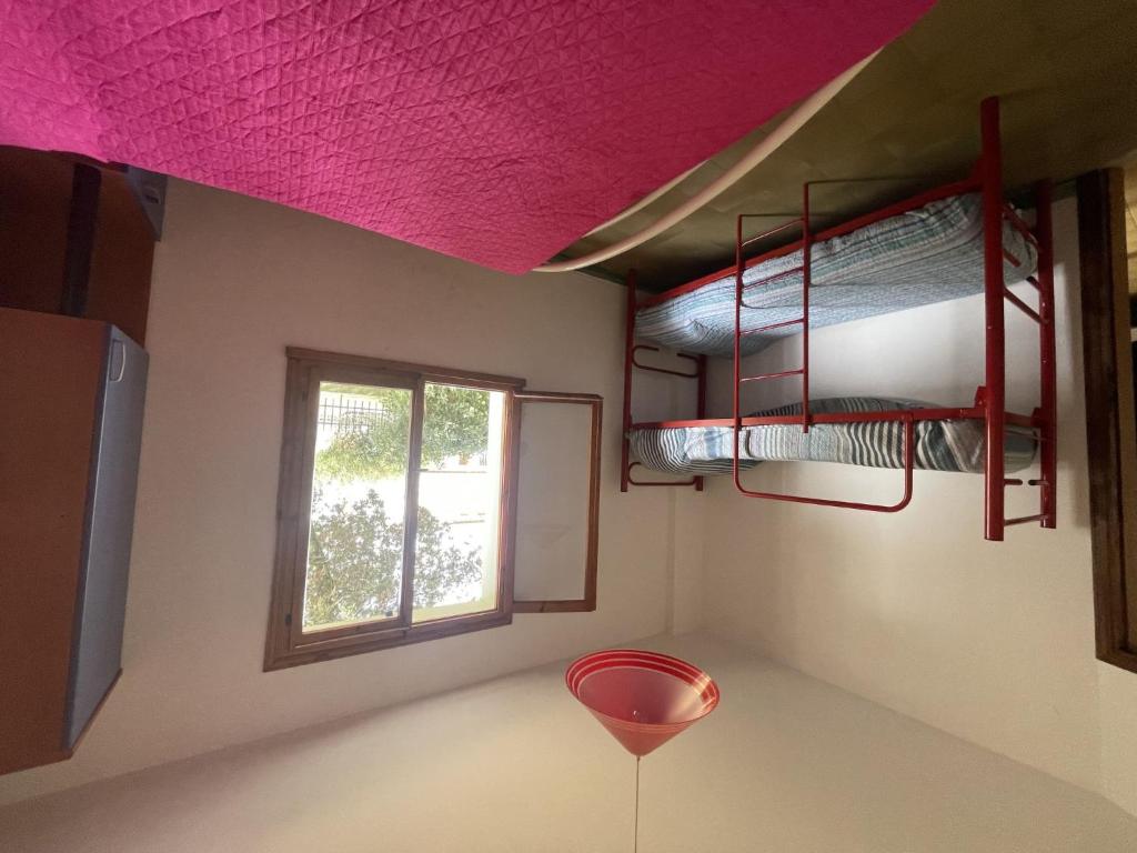 Apartment Adriana-1 by Interhome - 4
