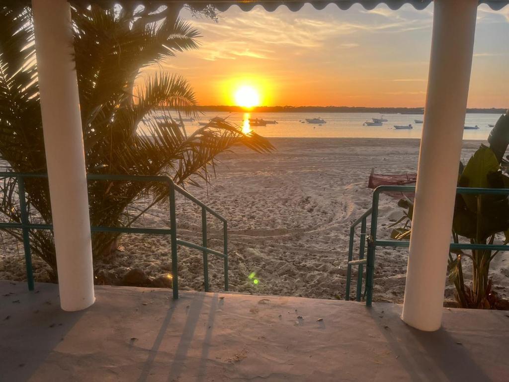 Mi Paraiso - 1