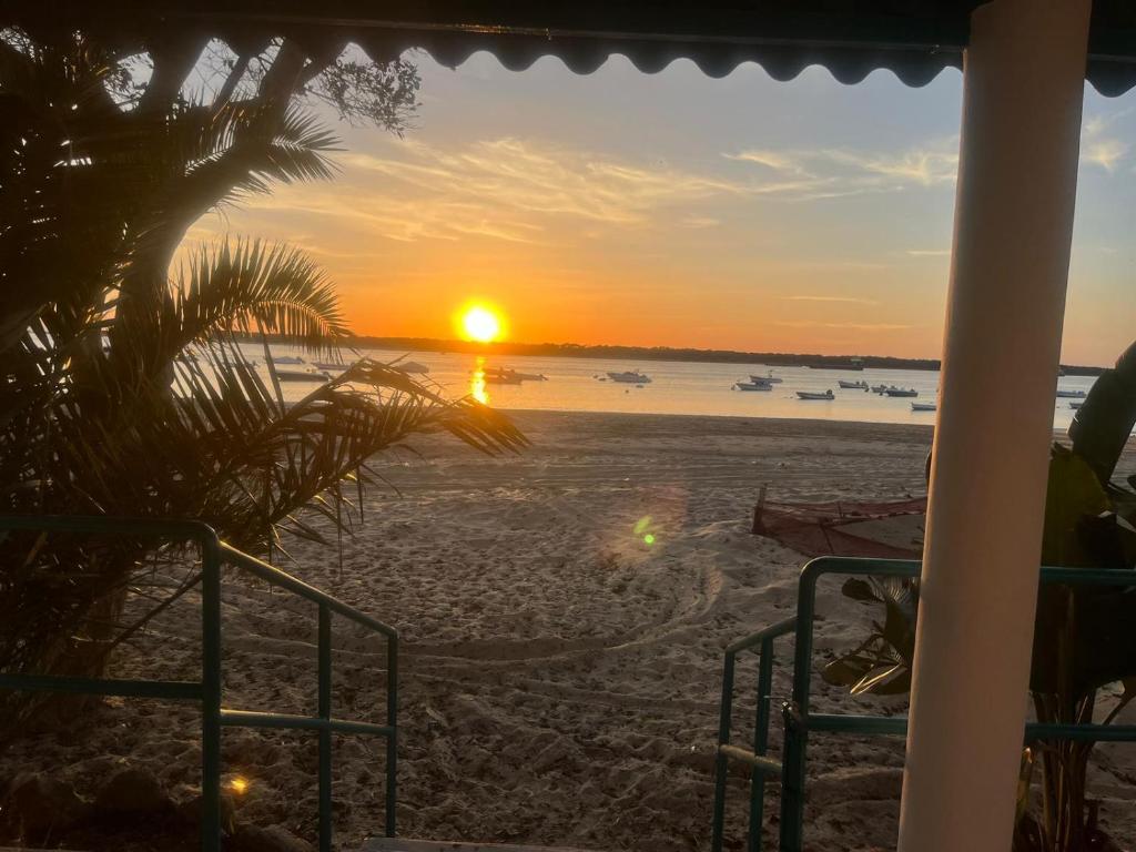 Mi Paraiso - 2