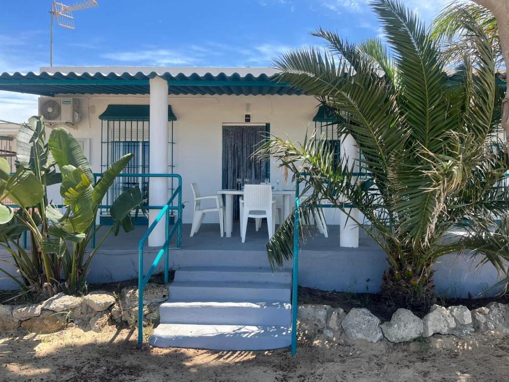 Mi Paraiso - 4