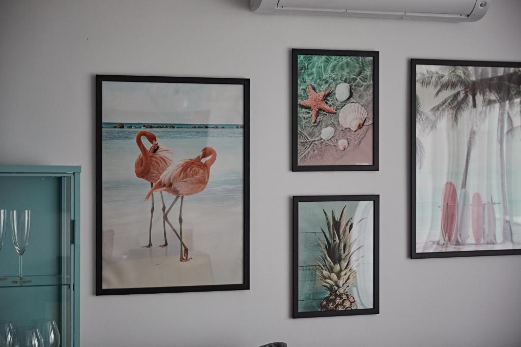 APARTMENT FLAMINGO - 3