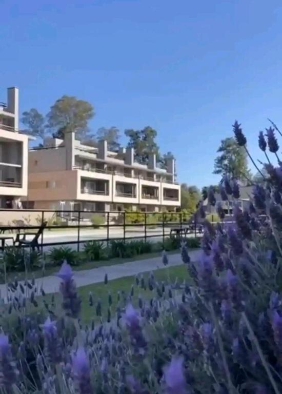 Mono ambiente Campus Vista Pilar - 4