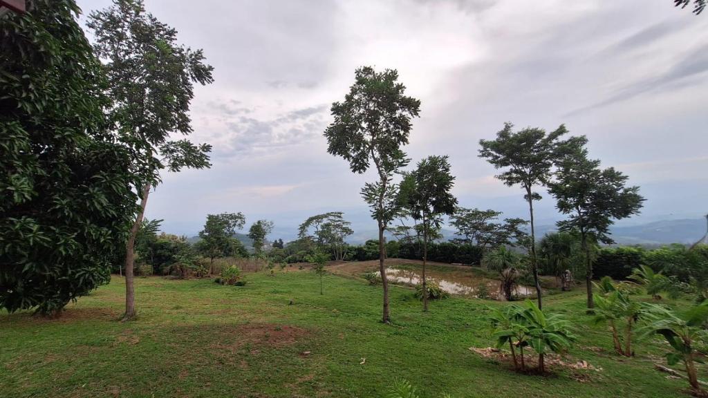 Bungalows Las brisas de Pacchilla - 5