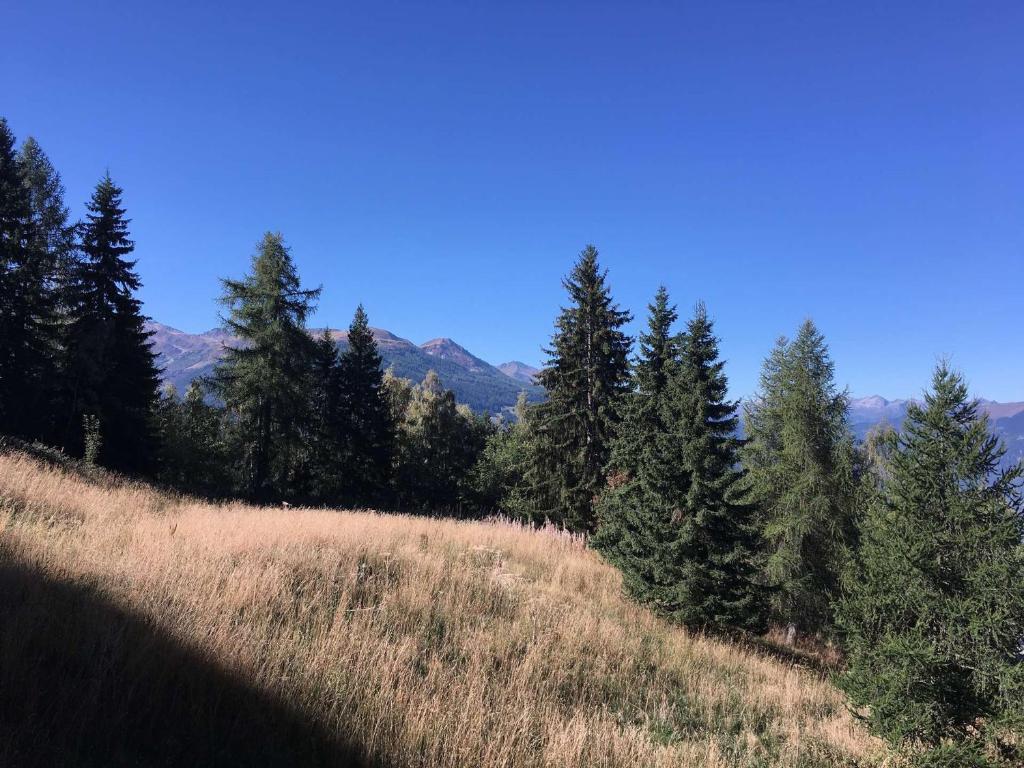 Studio lumineux prox. centre, balcon, Les Arcs 1800 - FR-1-346-573 - 4