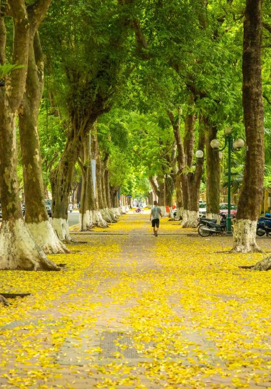 Lemon House &#8211; Service Apartment &#8211; Ngoc Thuy &#8211; Long Bien