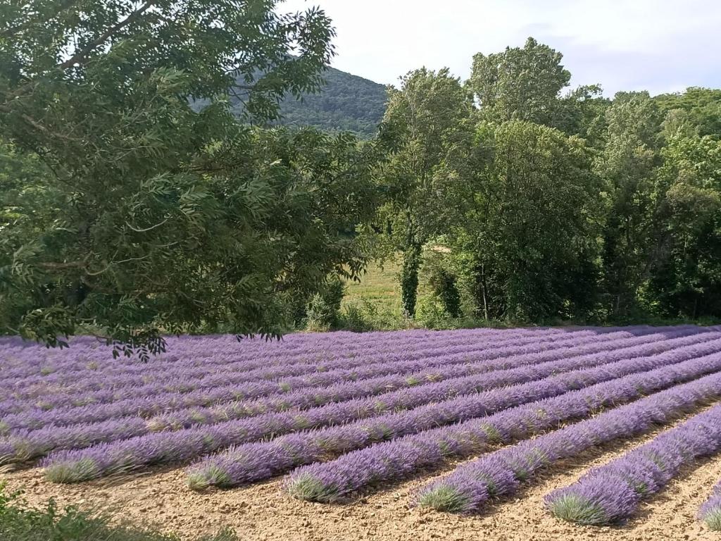 L'Etable, La Coucourde