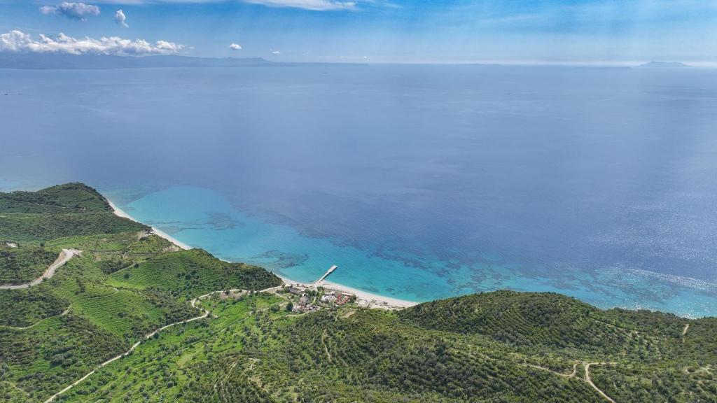 Seaview Bunec, Piqeras