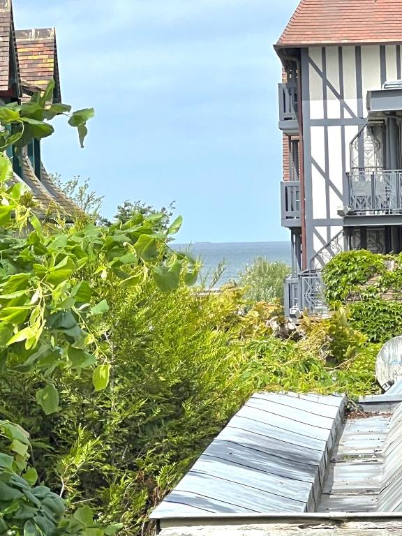 Studio soleil plage - 4