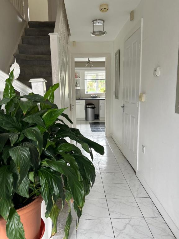 Asterway, Грэйт Барр