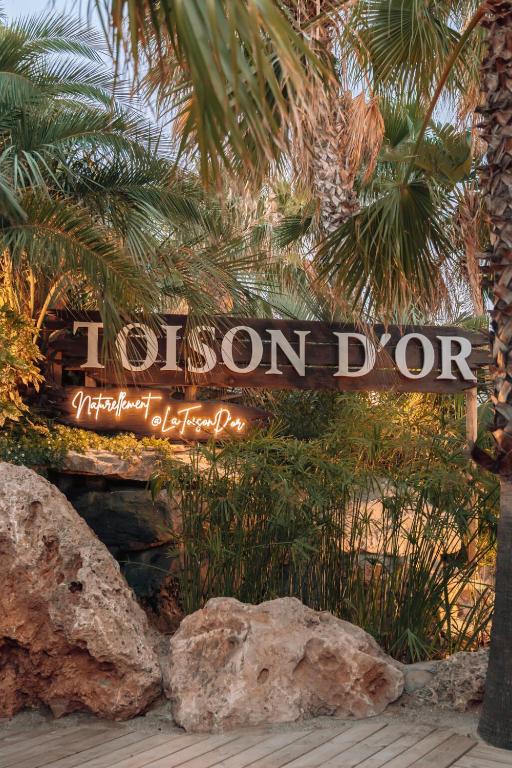 Toison D'or - 2