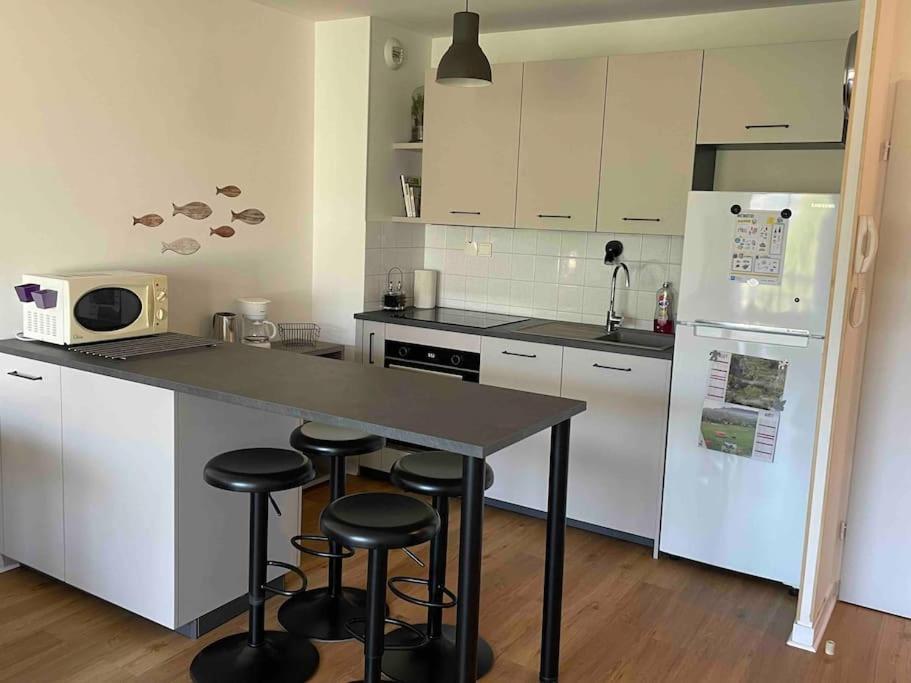 Entre lac et montagnes 47m² - 2