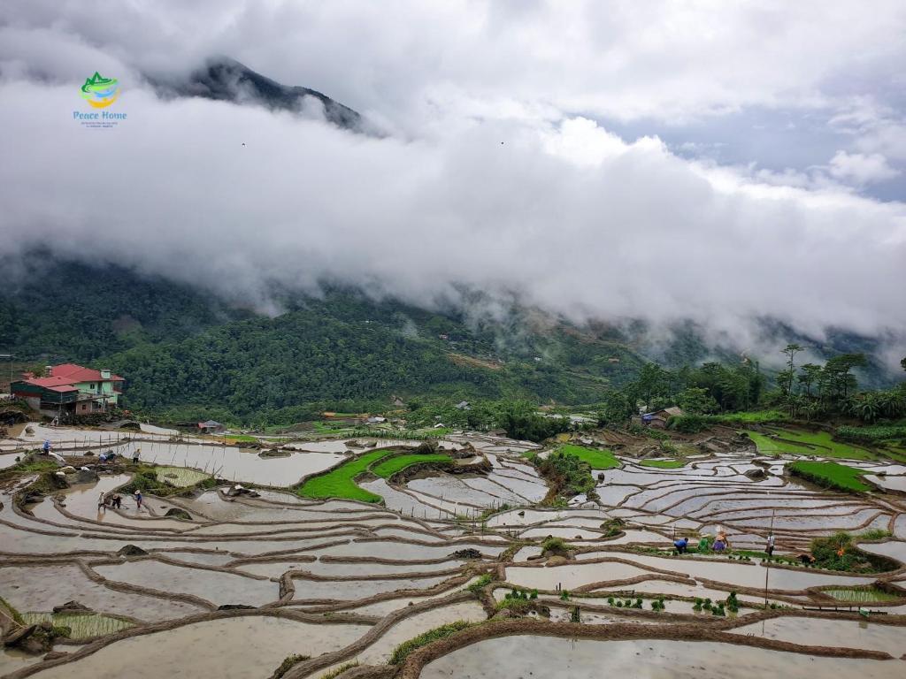 Surrounding environment