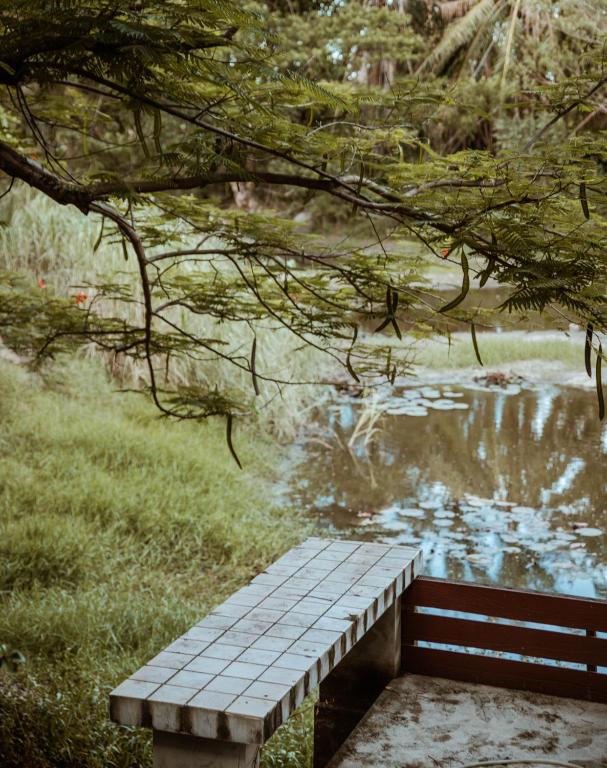 Surrounding environment