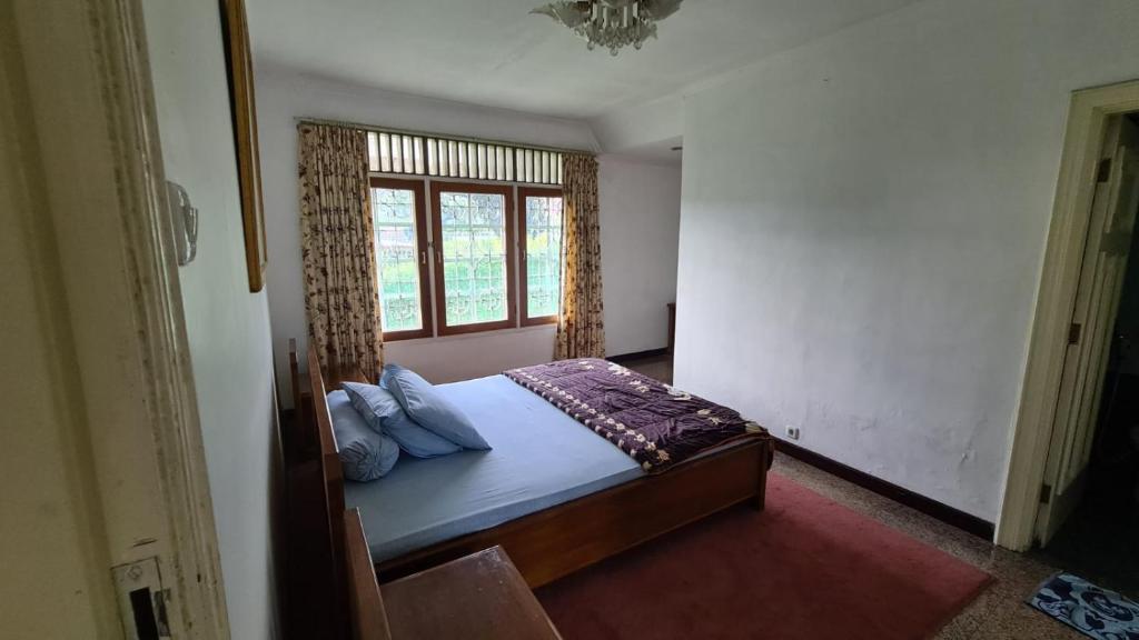 Villa Algref, Campaka