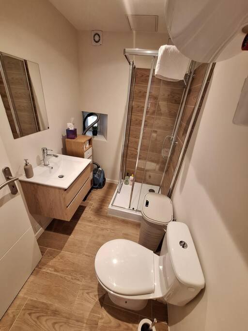 Appartement centre-ville avec cour privative - 3