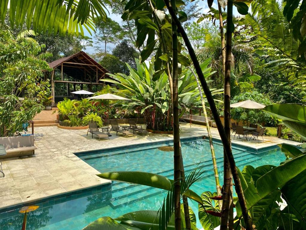 Casa Kiwi Jungle Lodge - 2