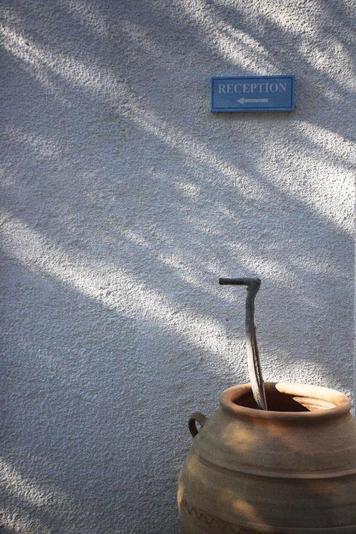Villa Venus photo