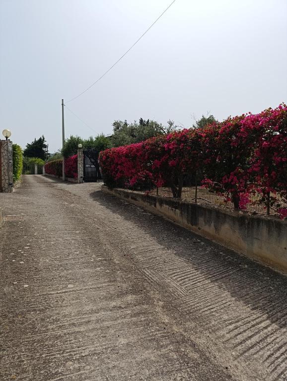 Villa Il Giardino di Rosa- 5 Min from the sea-Fraginesi - 5
