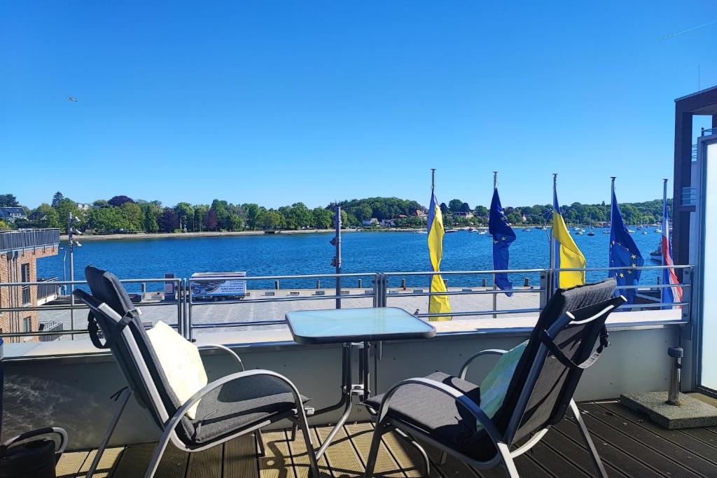 Seestern, Eckernförde