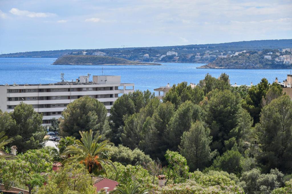 ทัศนียภาพ