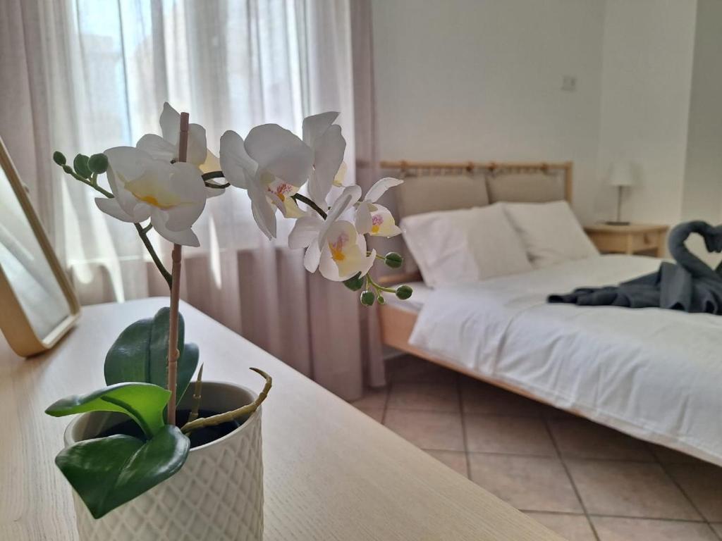 Elysian Apartment, Ermupoli