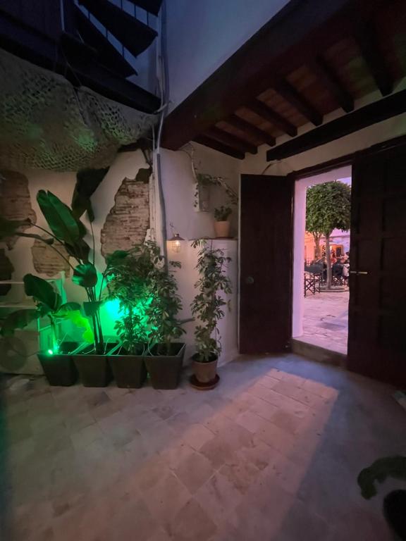 Arcos de Tarifa, Casco historico, aparcamiento - 5