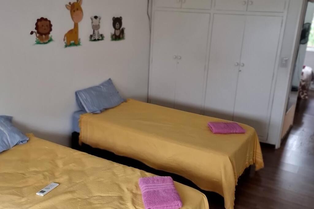 Federico del Arte - 4