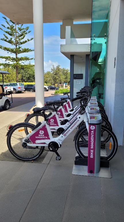 Sports and activities