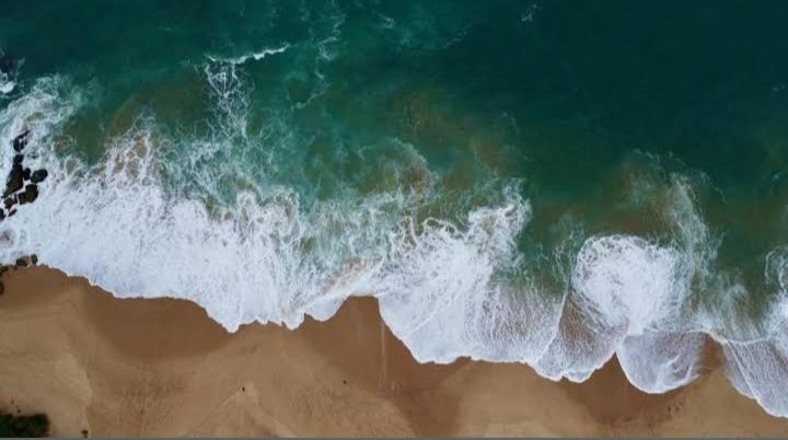 Peacock Residence & Cabana's, Tangalle