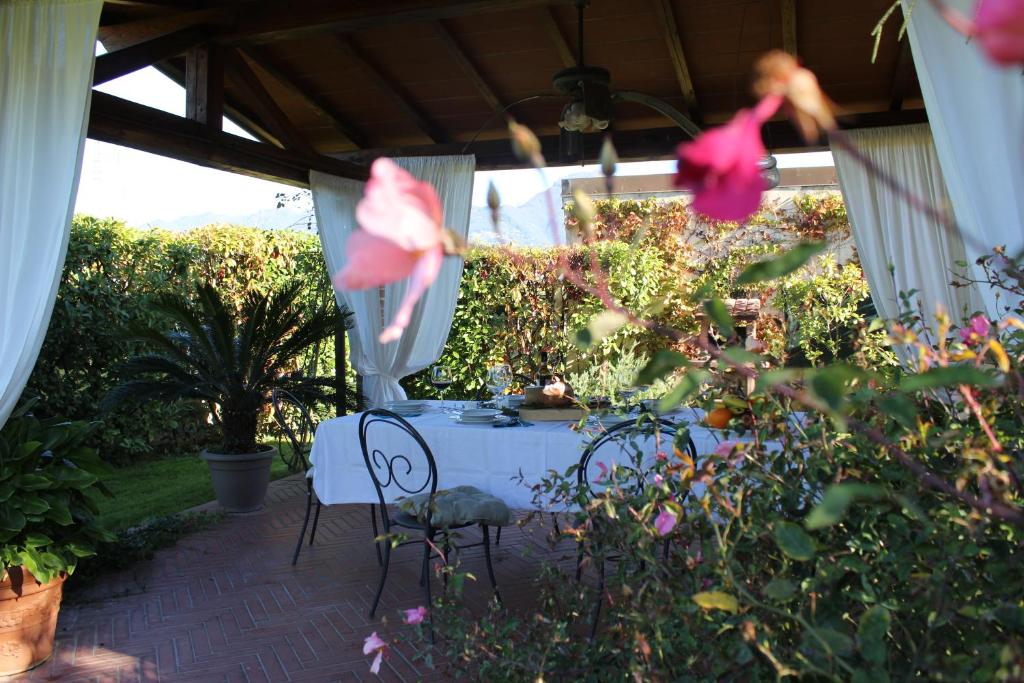 Villa Dimora degli ulivi - 4