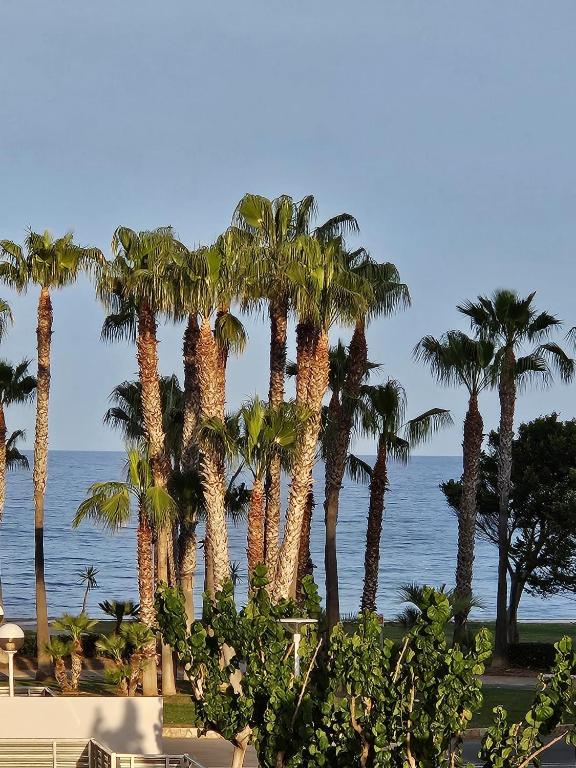 Mondrian Magic World - sea view first line of the beach, Oropesa del Mar