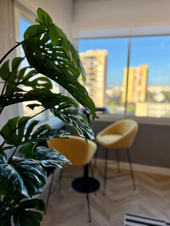 Loft de diseño con vistas y ubicación excelente - 5
