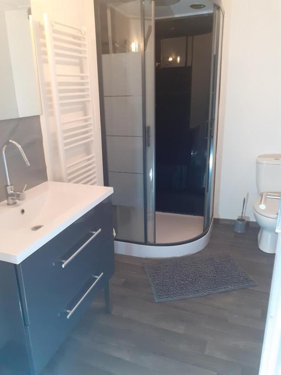 Appartement T2 centre les Abrets - 5