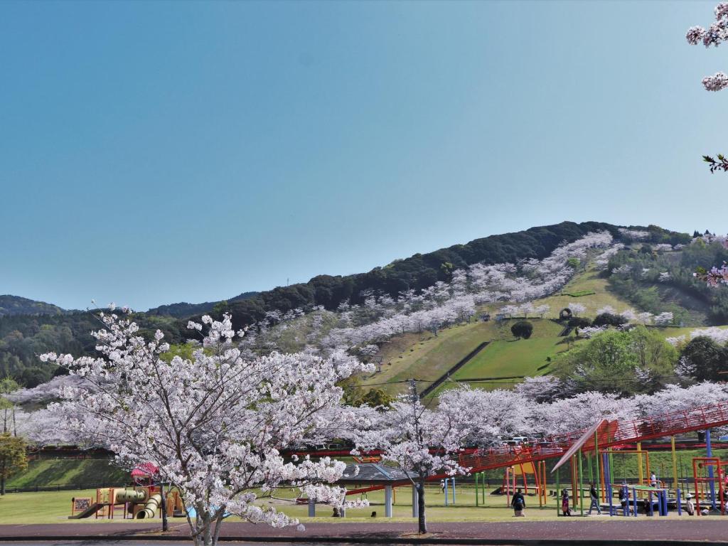 Surrounding environment