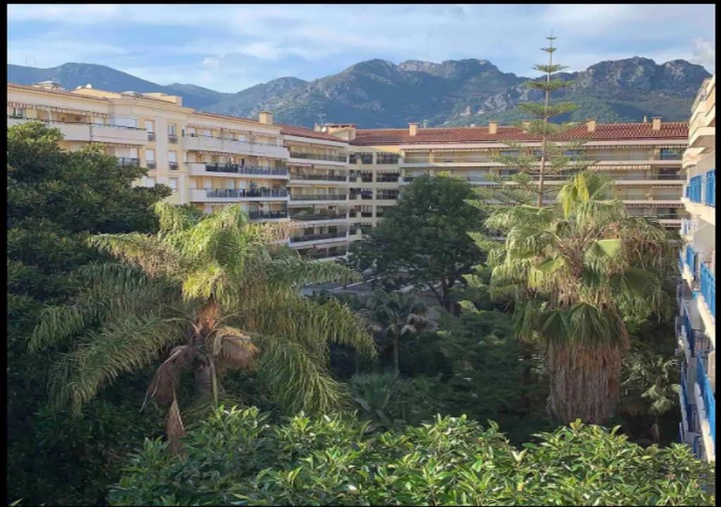 Beach apartment with tropical garden and mountain view Best location - 2
