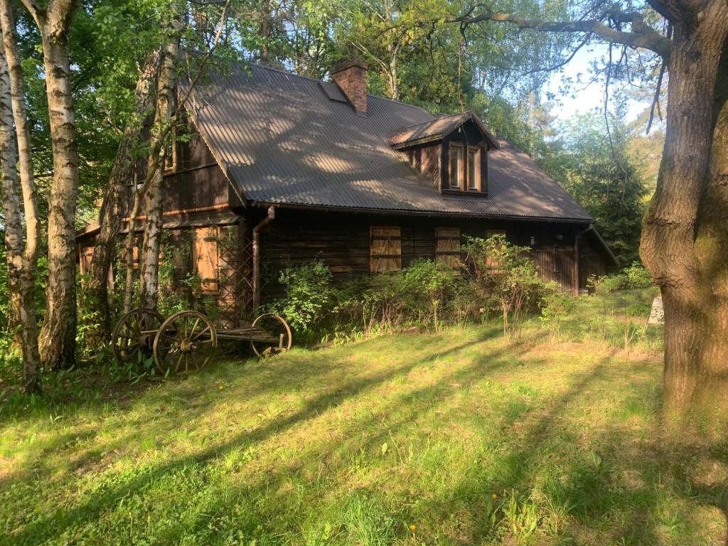 Dom z linią brzegową Narwi, Pułtusk