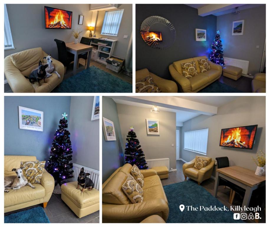 The Paddock, Killyleagh photo 4