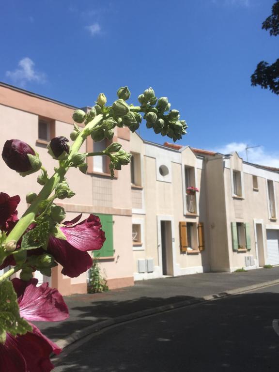 La villa voyage - 3