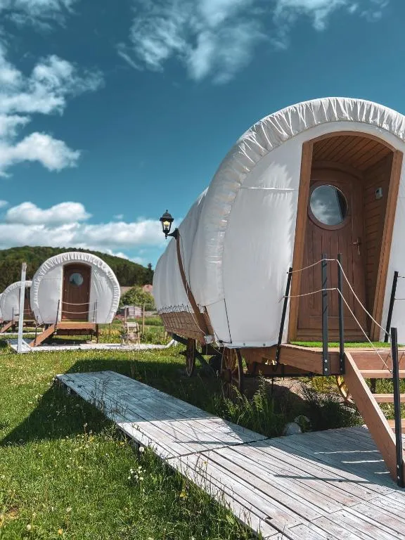 Glamping Spiritul Zimbrului, hotel in Vama Buzăului