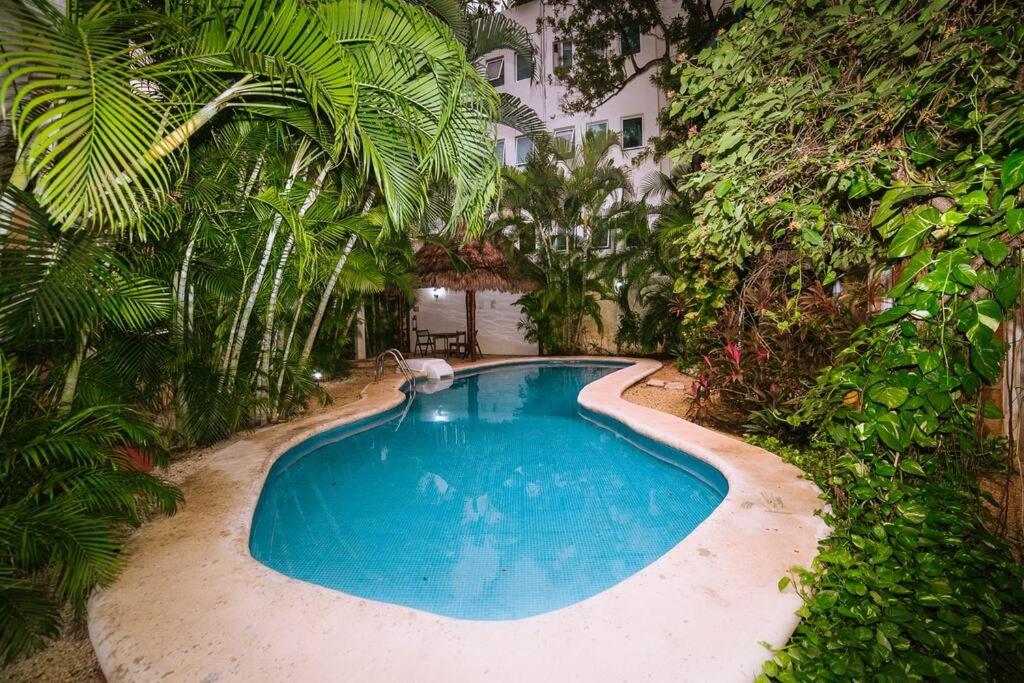 2Br apart steps from mamitas beach and 5th av - 2