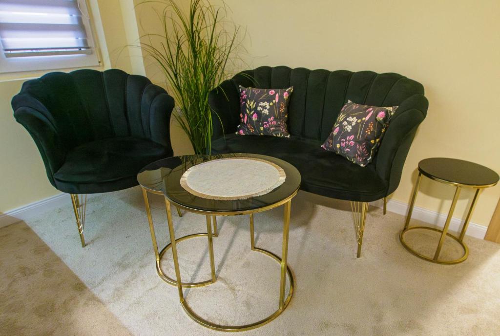 M&M Apartment Stefan Nemanja - 5