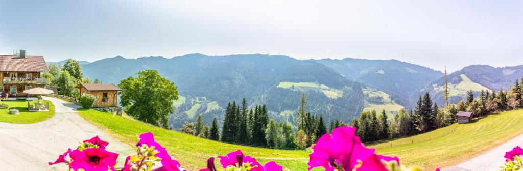 Landhaus Hochkönig - 4