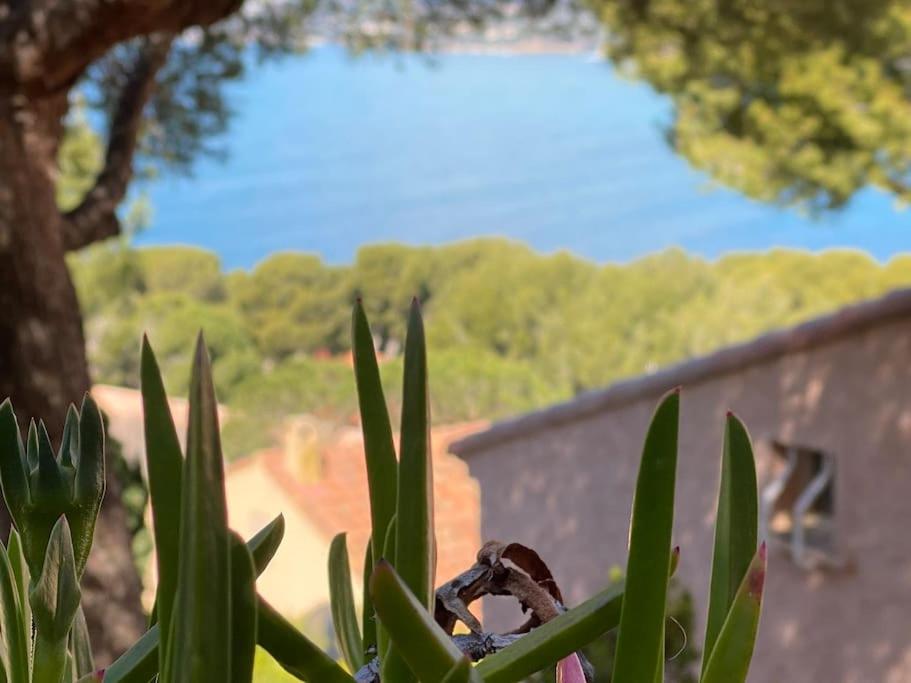 T2 vue Mer avec balcon, climatisé, piscine - 2