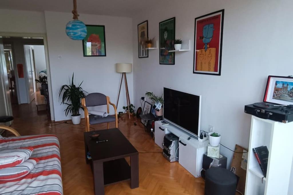 Artsy Downtown, Podgorica