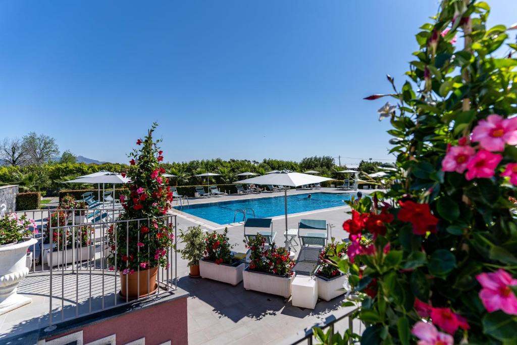 Dipladenia Garden Country Resort - 2