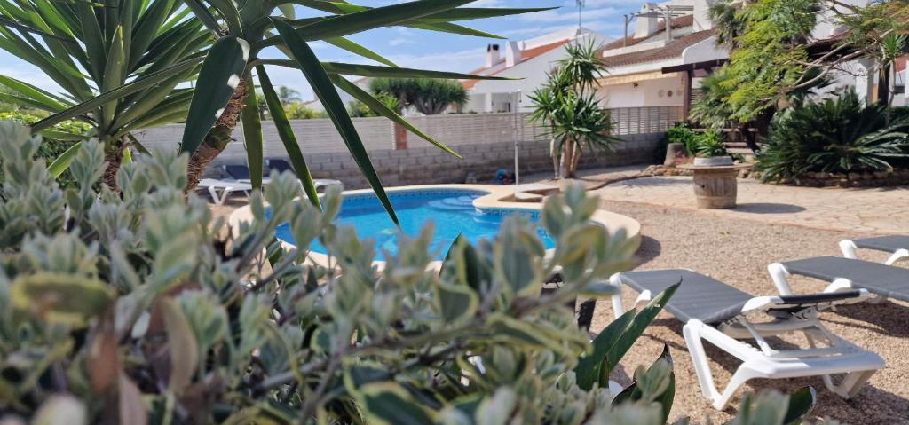 Riumar "Primavera", 50m to beach, private pool, On-Site-Service, dog beach - 3